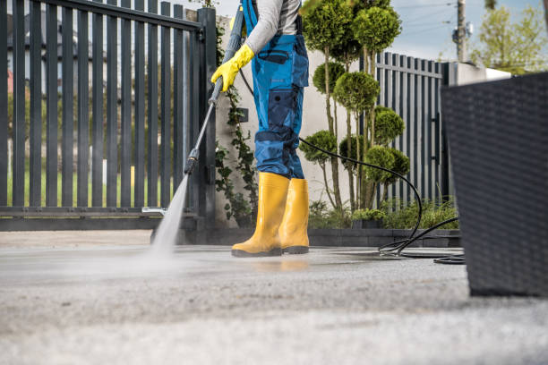 Deck Cleaning Services in Harrisburg, OR