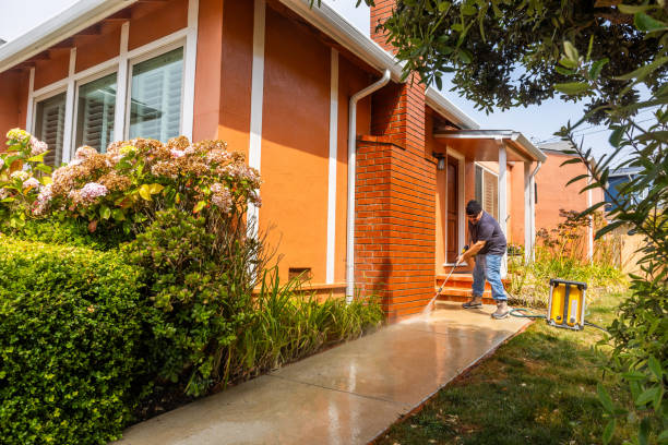 Local Pressure Washing Services in Harrisburg, OR